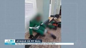 Gari atacado por pit bull no Ver-o-Peso em Belém