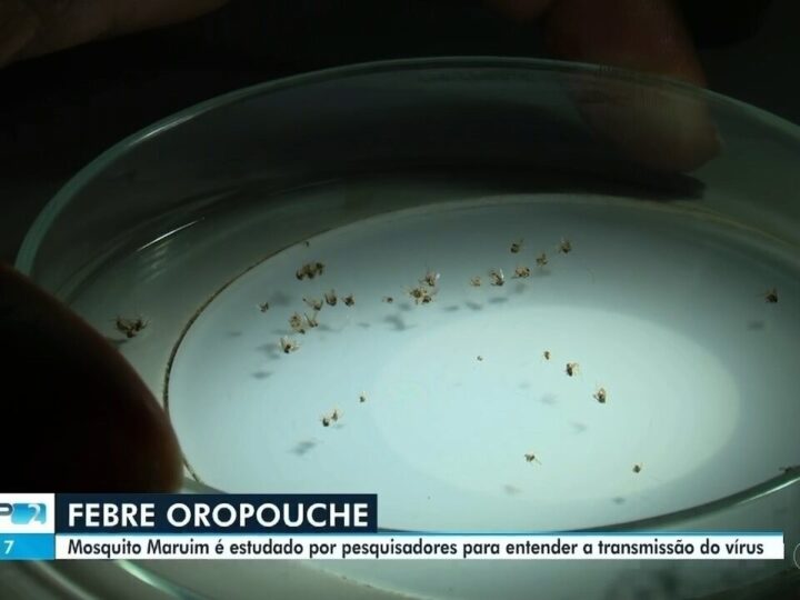 Avanço da febre Oropouche na Amazônia: estudo da Unifap