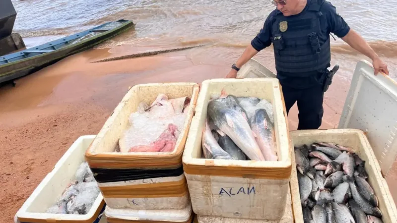 Apreensão de pescado na Base Candiru em Óbidos