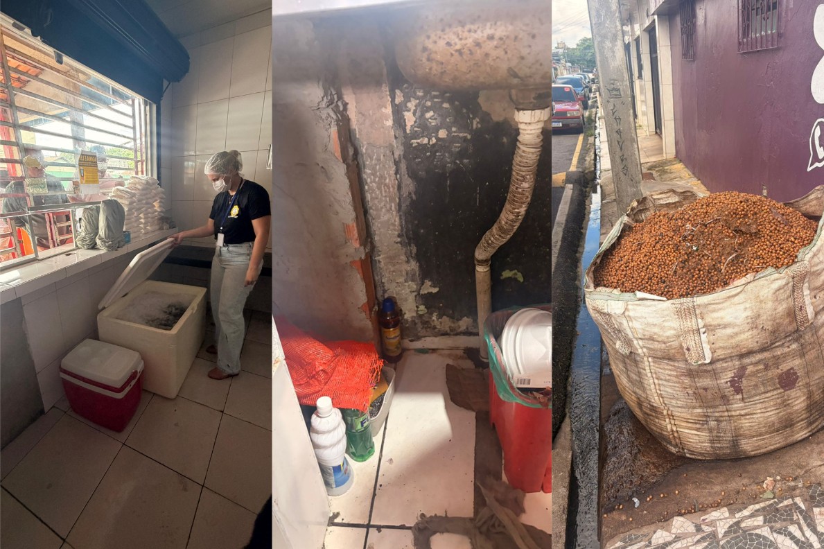 Interdições de açaí em Ananindeua após surto de doença de Chagas