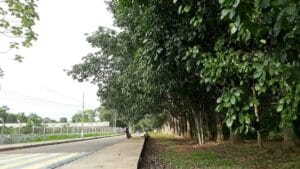 Previsão do tempo para Quarta-feira no Acre