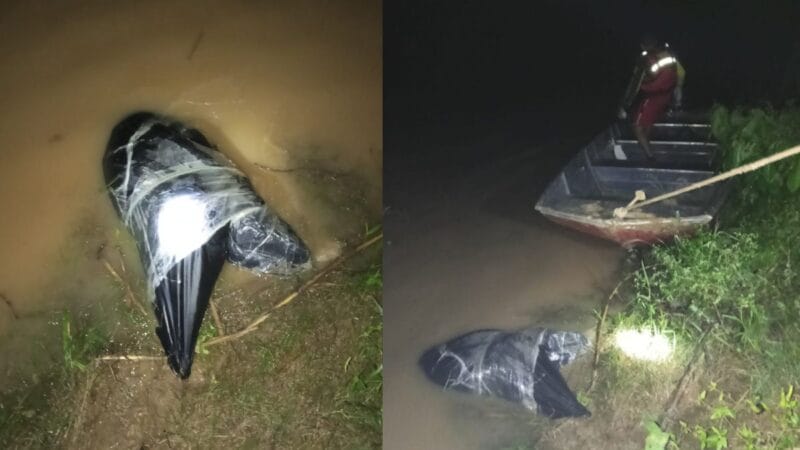 Corpo encontrado no Rio Acre: resgate e investigação