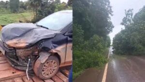 Acidentes nas rodovias do Amapá afetam trânsito: Colisão de carros e queda de árvores