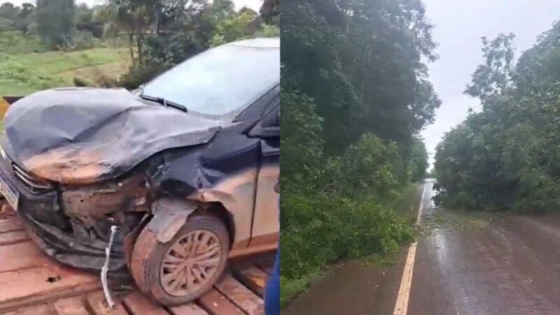 Acidentes nas rodovias do Amapá afetam trânsito: Colisão de carros e queda de árvores