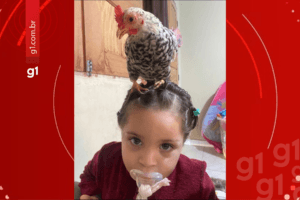 Menina de 2 anos cria galinha como animal de estimação no Acre