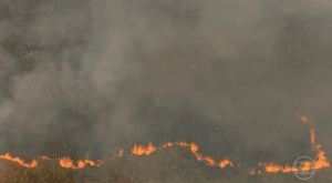 Lei de descontos e parcelamento de multas ambientais em Rondônia