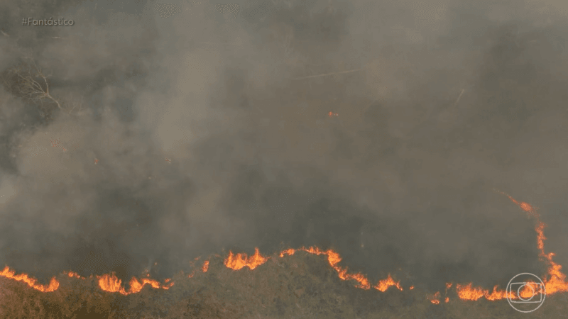 Lei de descontos e parcelamento de multas ambientais em Rondônia