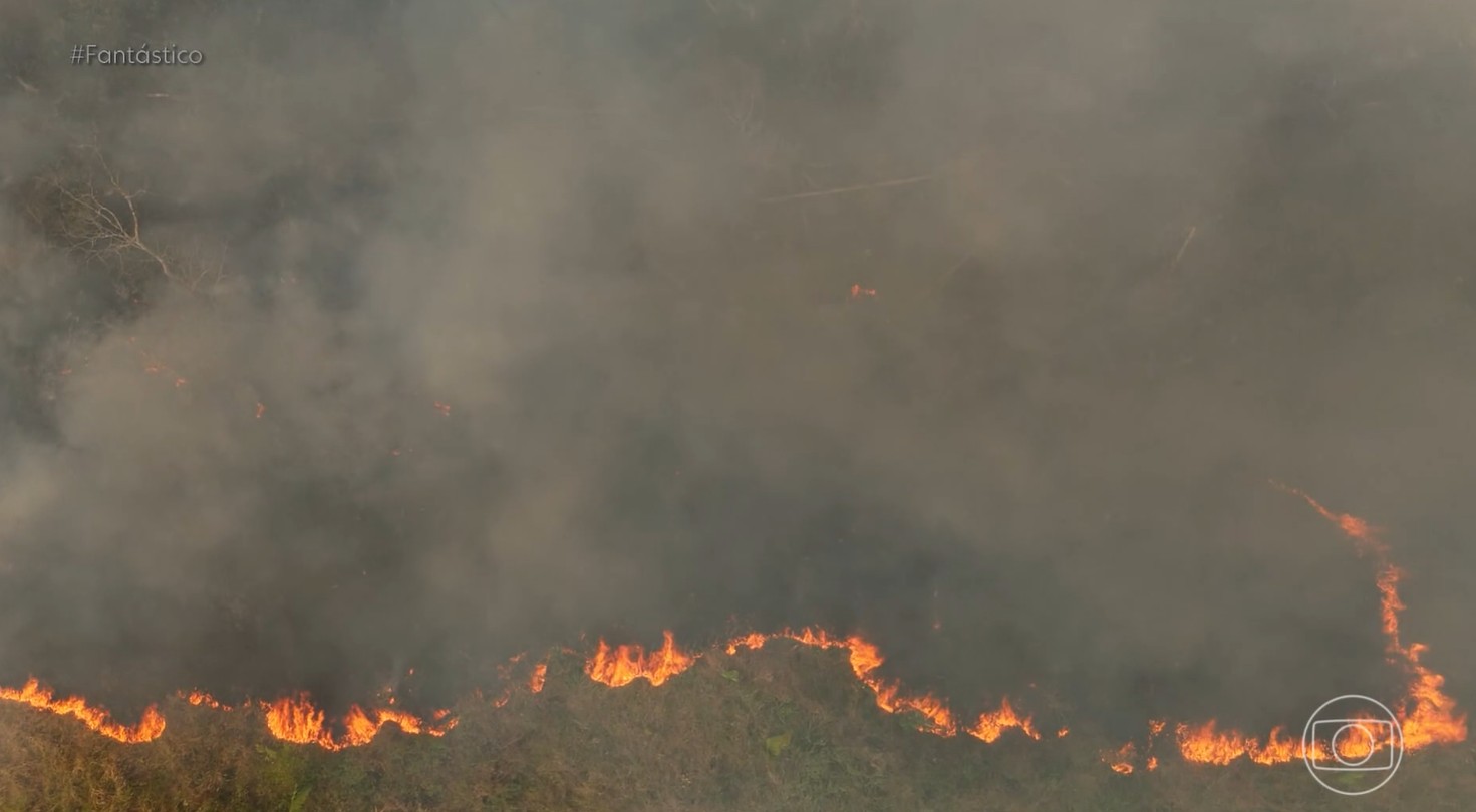 Lei de descontos e parcelamento de multas ambientais em Rondônia