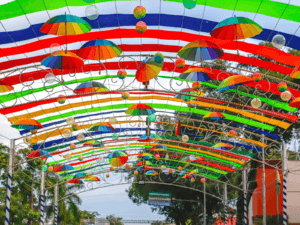 Carnaval 2026: escolha da realeza na Primeira noite de folia em Rio Branco