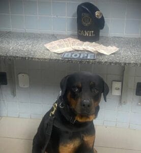 Jovem preso com R$ 600 em notas falsas e intenção de comprar drogas