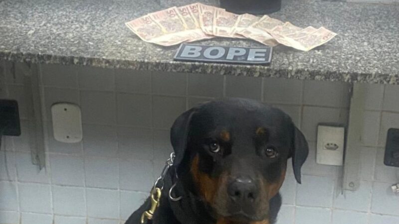 Jovem preso com R$ 600 em notas falsas e intenção de comprar drogas