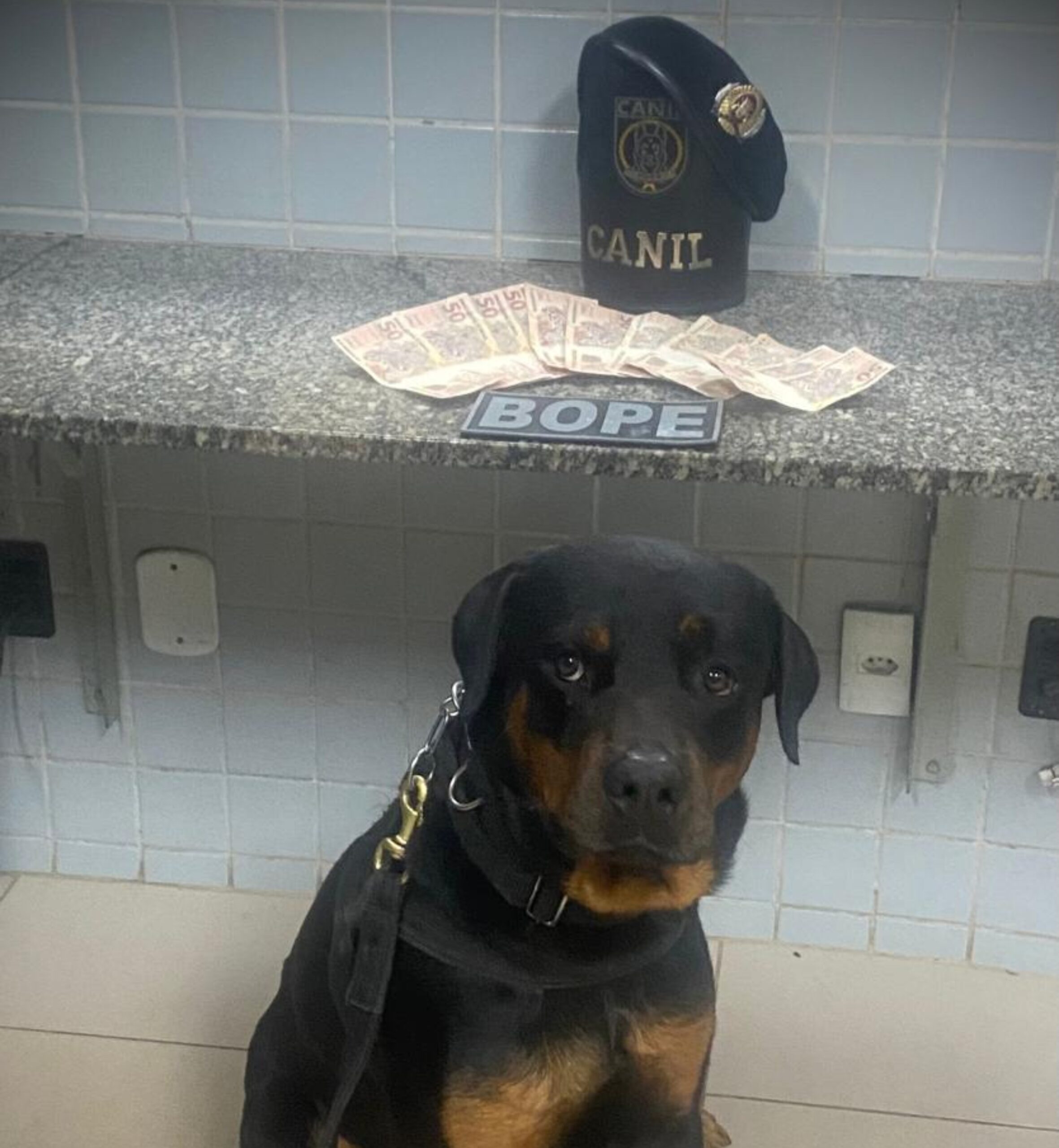 Jovem preso com R$ 600 em notas falsas e intenção de comprar drogas