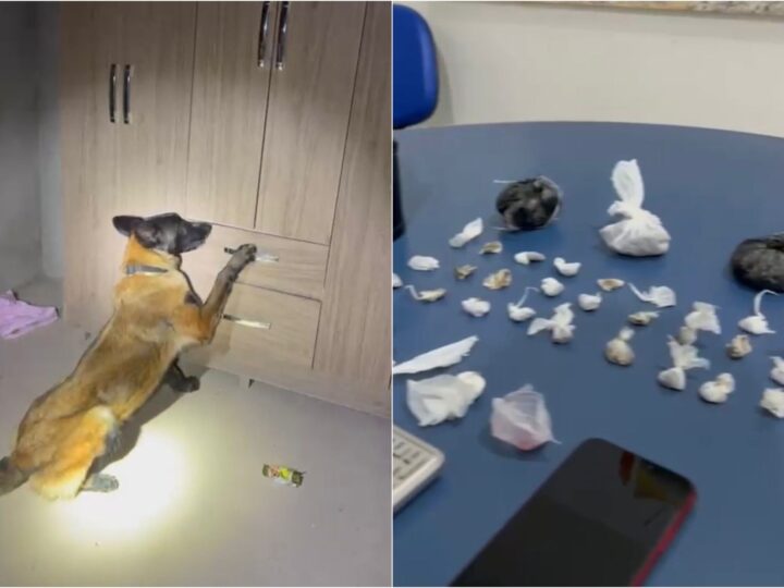 Casal Detido em Boa Vista com 29 Pacotes de Drogas em Guarda-Roupa