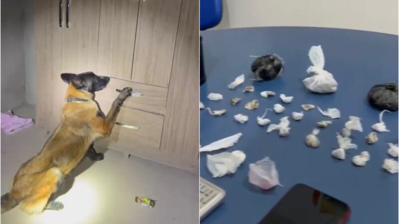 Casal Detido em Boa Vista com 29 Pacotes de Drogas em Guarda-Roupa