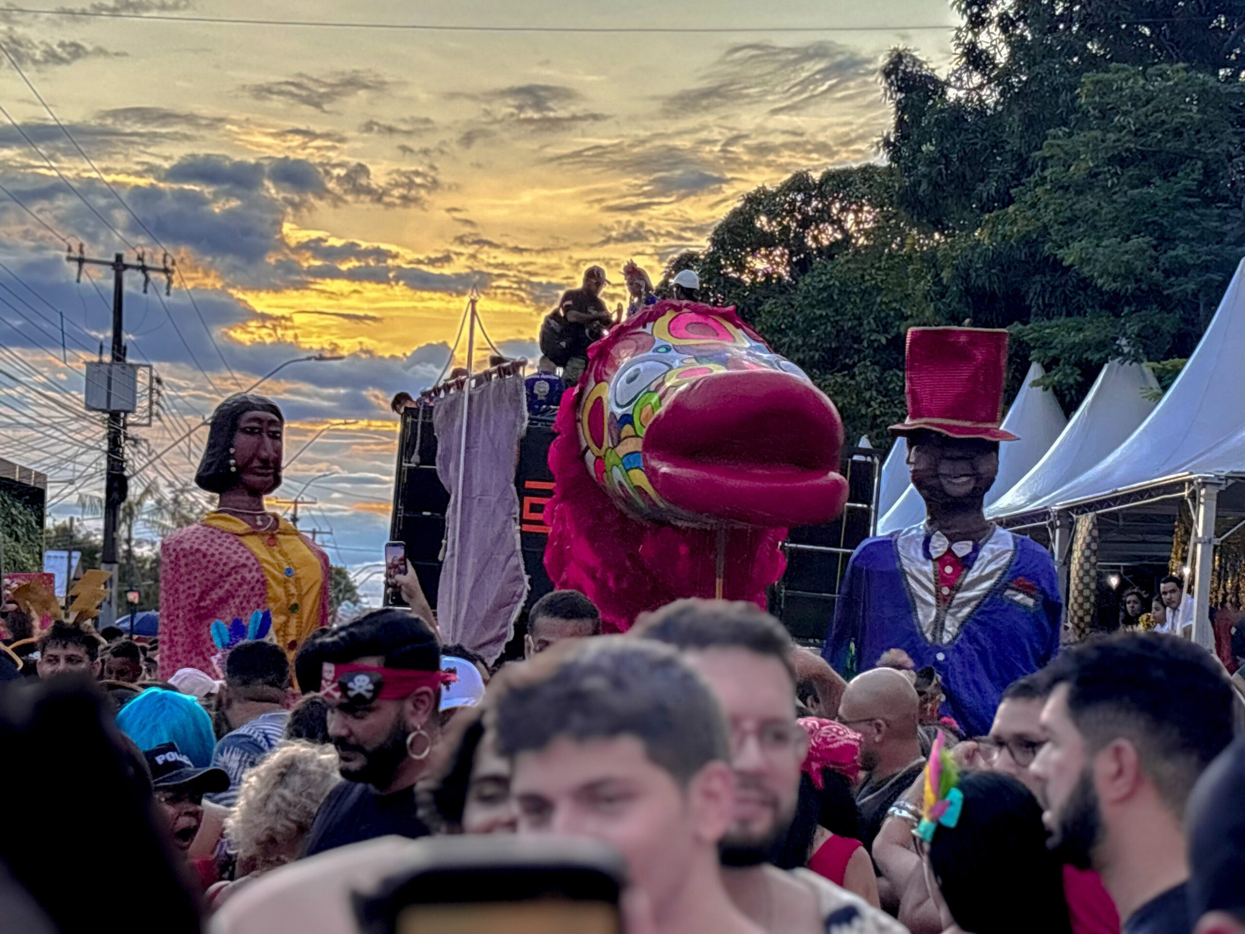 Bloco Pirarucu do Madeira: 33 anos de tradição em Porto Velho