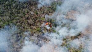 Aumento Alarmante de Focos de Calor em Roraima em Fevereiro de 2026