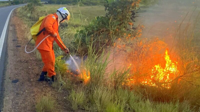Femarh Suspende Queimadas em Roraima por 15 Dias Devido ao Aumento de Focos de Calor