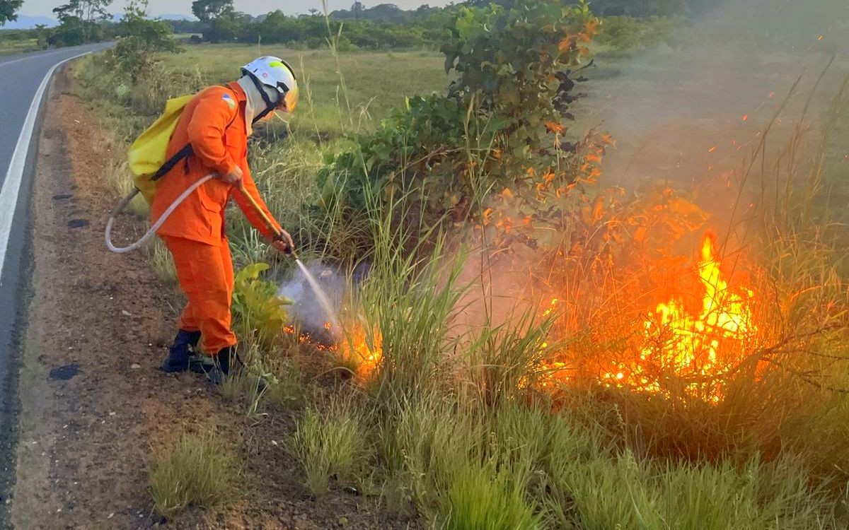 Femarh Suspende Queimadas em Roraima por 15 Dias Devido ao Aumento de Focos de Calor