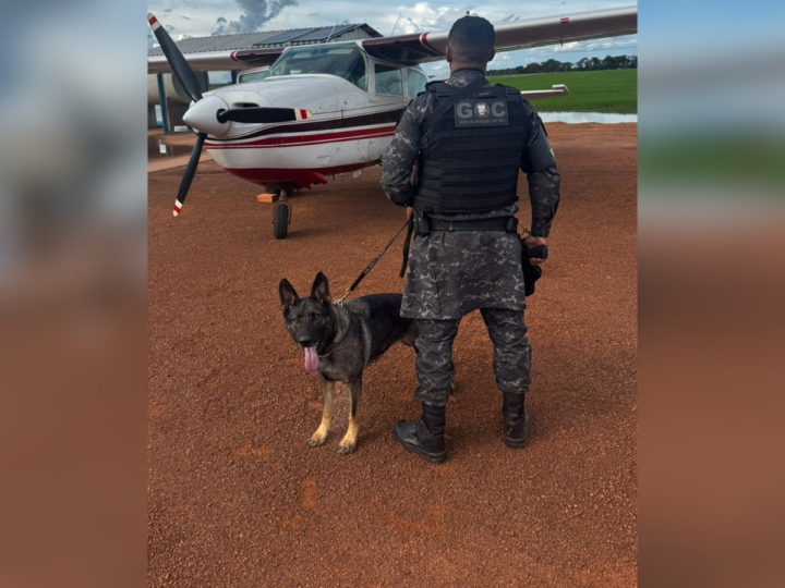 Piloto preso e avião apreendido no Tocantins com drogas