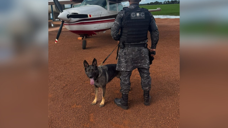Piloto preso e avião apreendido no Tocantins com drogas
