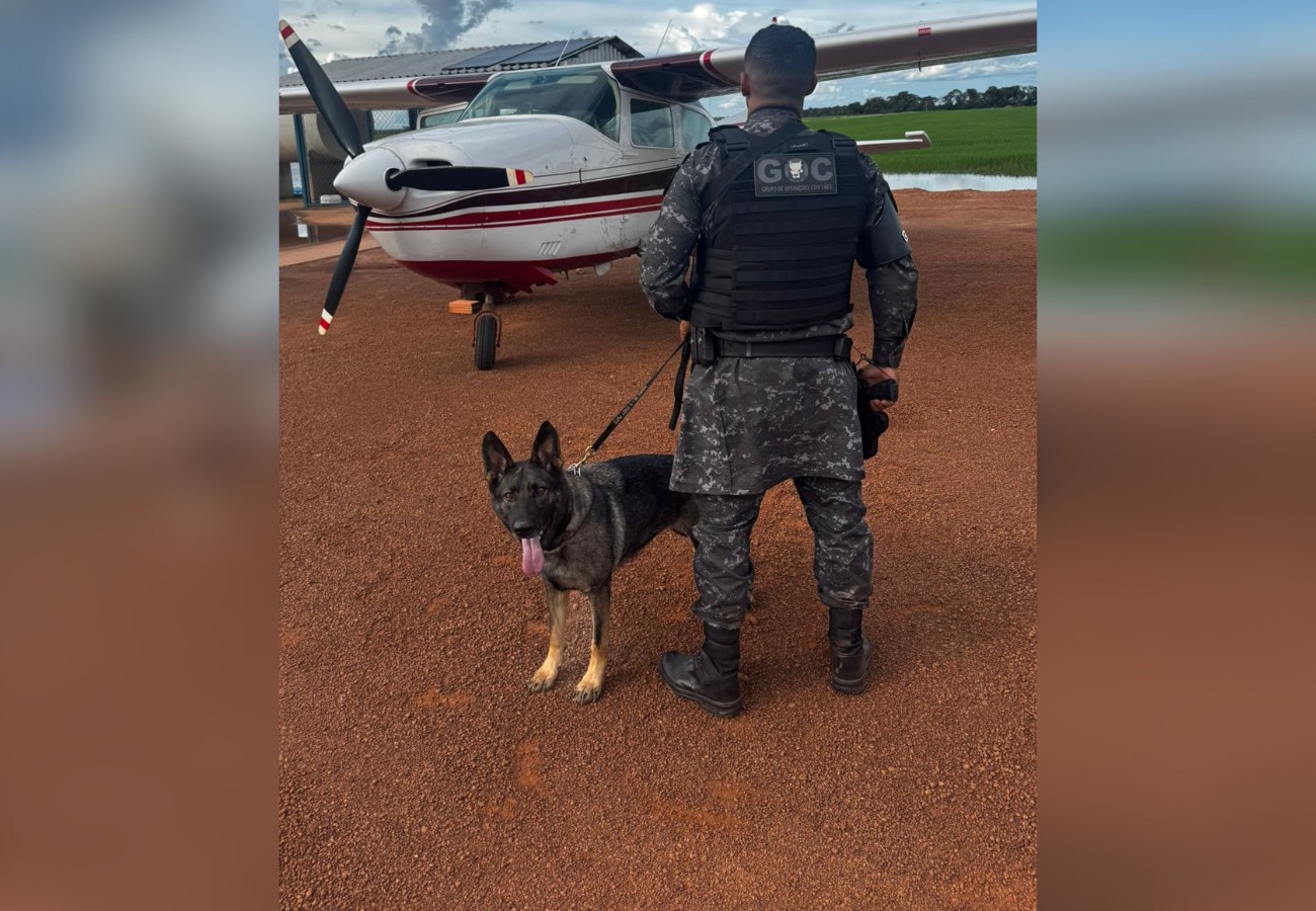 Piloto preso e avião apreendido no Tocantins com drogas