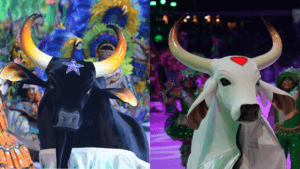 Calendário de ensaios e apresentações dos Bois Caprichoso e Garantido para a temporada de