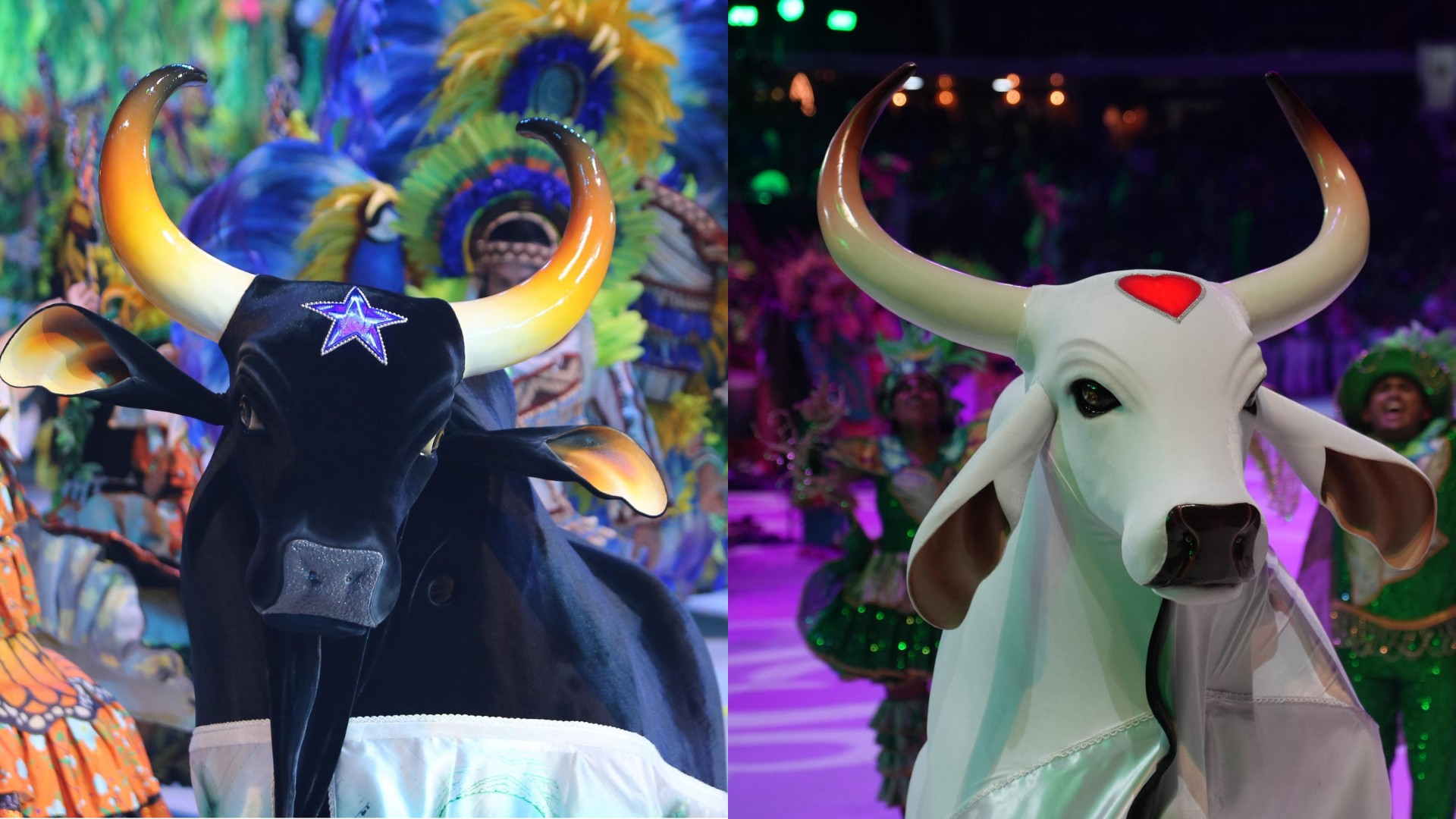 Calendário de ensaios e apresentações dos Bois Caprichoso e Garantido para a temporada de