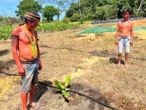 Reaproveitamento de Água na Terra Yanomami