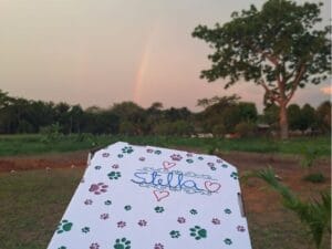 Regularização ambiental do Cemitério de pets em Rio Branco