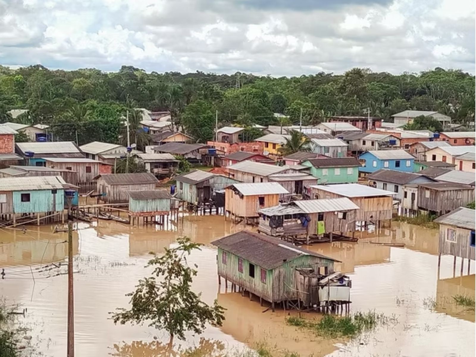 Transbordamento do Rio Juruá Impacta Cruzeiro do Sul pela Terceira Vez em Dois Meses