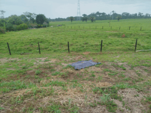 Homem encontrado morto às margens da BR-317 no Acre