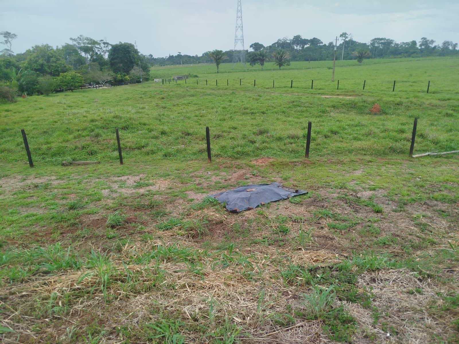 Homem encontrado morto às margens da BR-317 no Acre