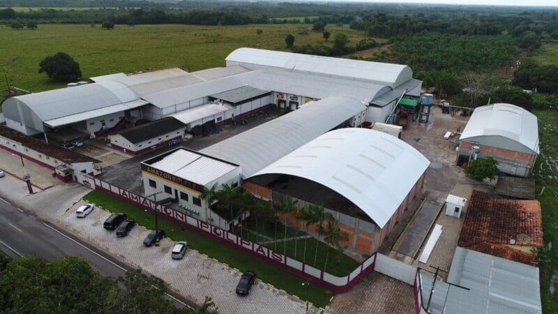 Investimento de Paraenses nos EUA: açaí, franquias e negócios