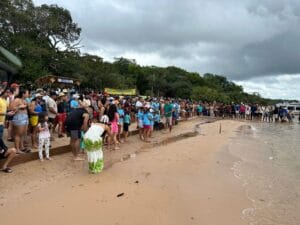 Soltura de filhotes de tartaruga-da-Amazônia na comunidade Coroca