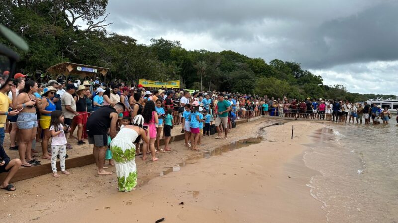 Soltura de filhotes de tartaruga-da-Amazônia na comunidade Coroca
