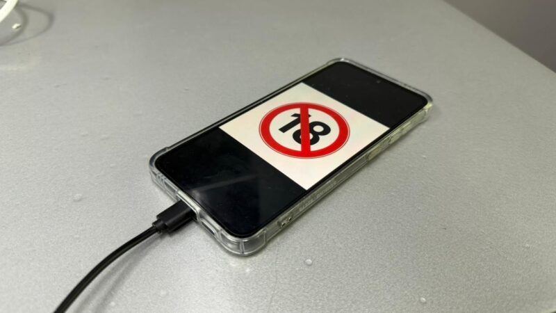 Conselho Tutelar de Normandia Investiga Acesso a Conteúdo Pornográfico em Celular Oficial