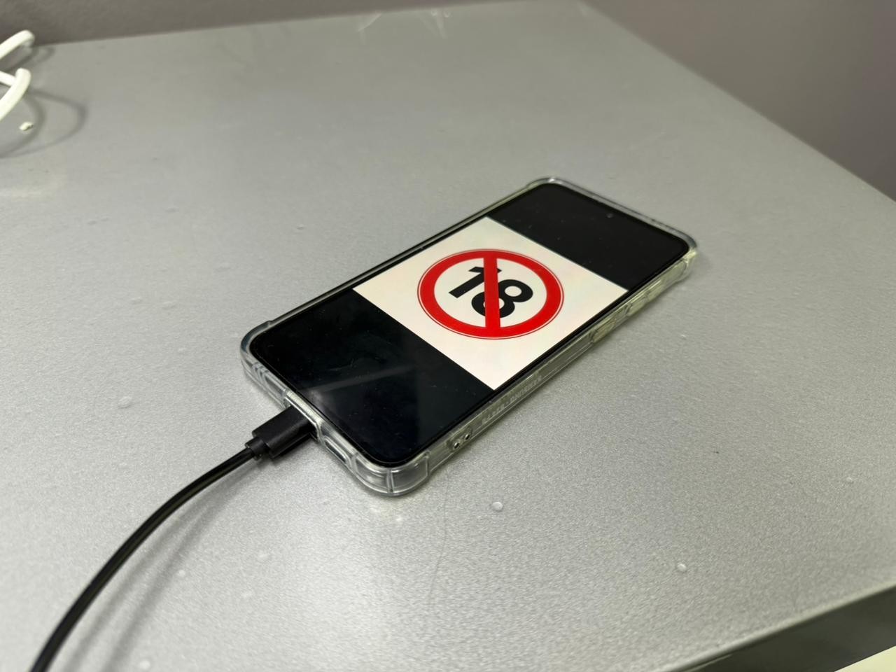 Conselho Tutelar de Normandia Investiga Acesso a Conteúdo Pornográfico em Celular Oficial