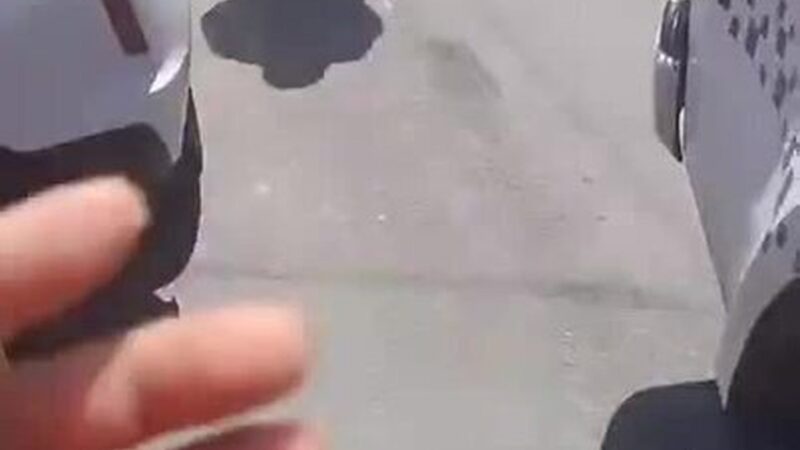 Corpo de Recém-Nascida Encontrado em Sacola na Zona Norte de Manaus