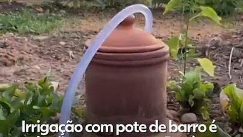 Irrigapote: Inovação em Irrigação Revoluciona Agricultura no Pará
