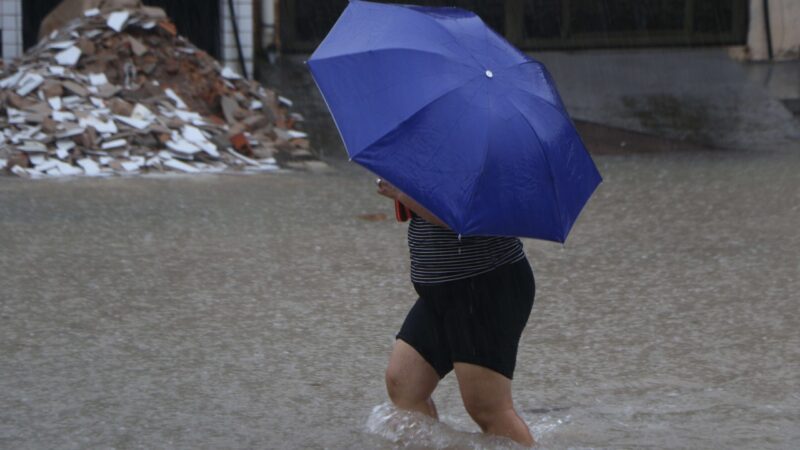 Chuvas intensas no Pará: Aumenta o risco de leptospirose e como se proteger