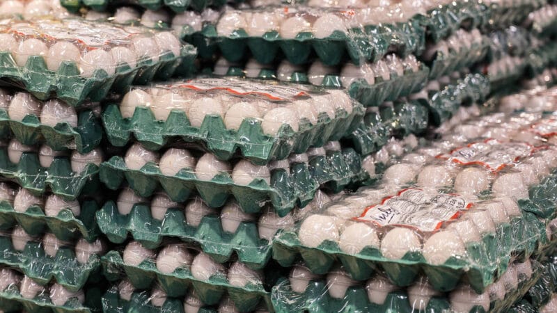 Impactos da Guerra no Irã nos Preços de Ovos, Frango e Carne Suína no Brasil