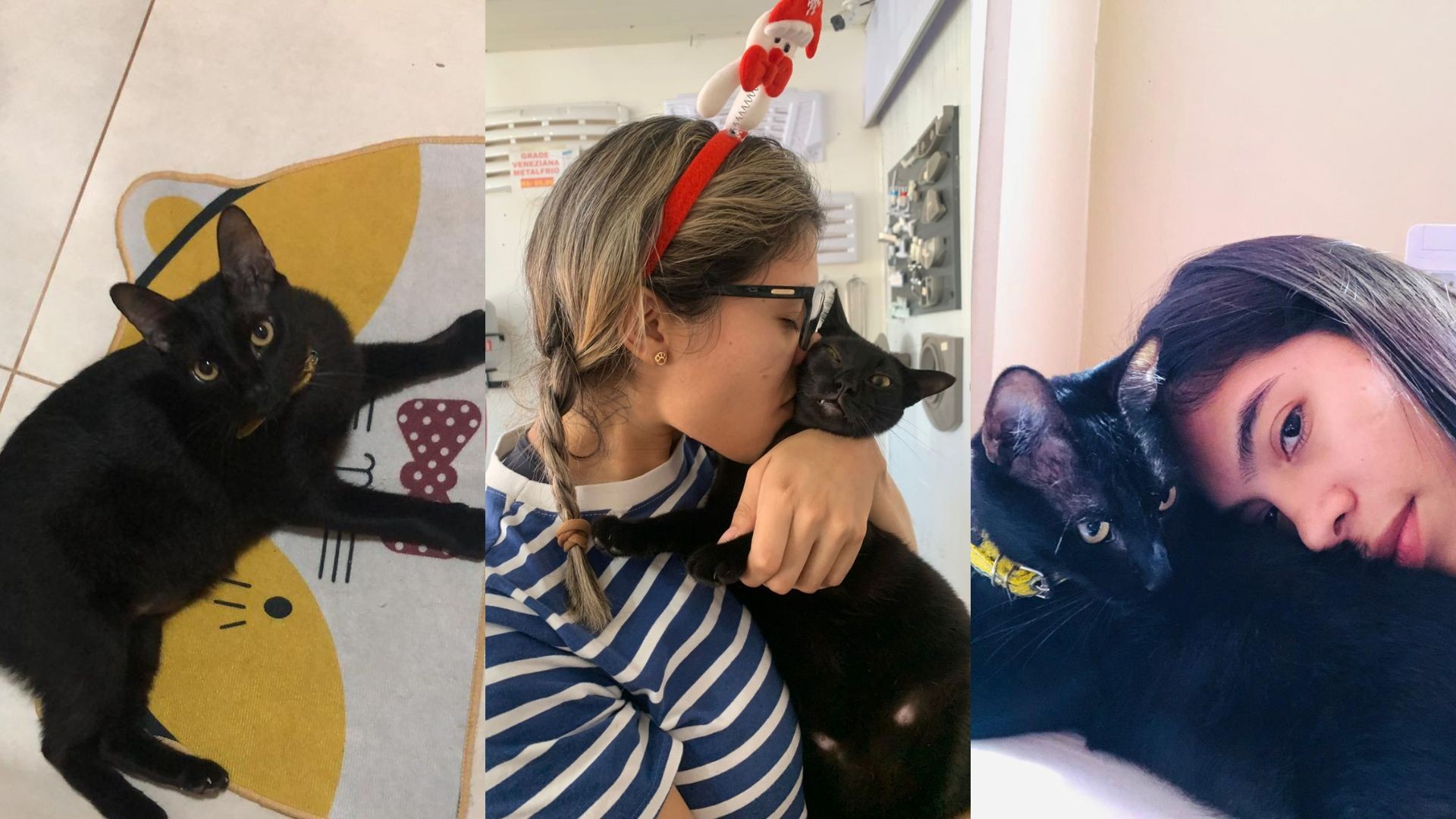 A Transformadora Jornada de Gabriela Alves: Adoção e Resgate de Gatos no Amapá