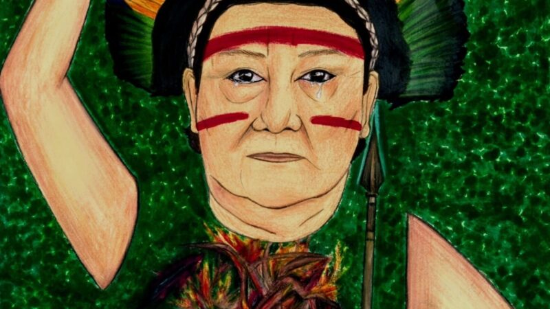 Artista Roraimense Recebe Prêmio Nacional por Obra Inspirada em Davi Kopenawa