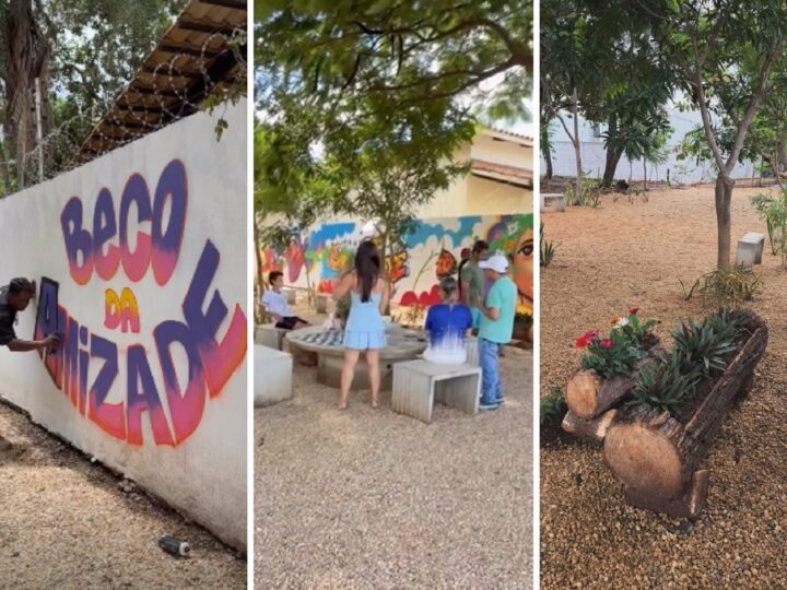 Transformação de Beco em Palmas: Do Lixo a um Espaço de Convivência