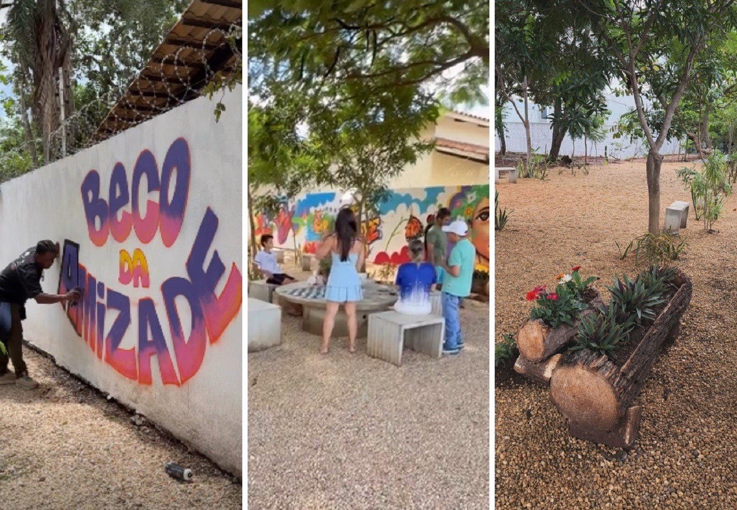 Transformação de Beco em Palmas: Do Lixo a um Espaço de Convivência