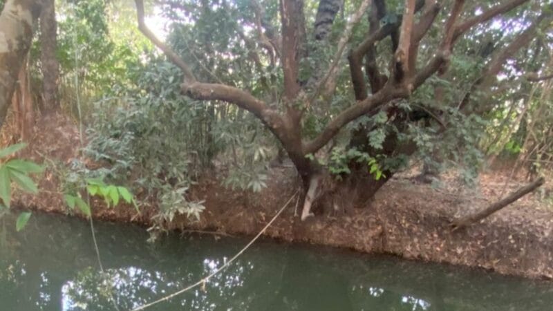 Tragédia na Zona Rural: Jovem de 22 Anos Encontra a Morte em Igarapé de Boa Vista