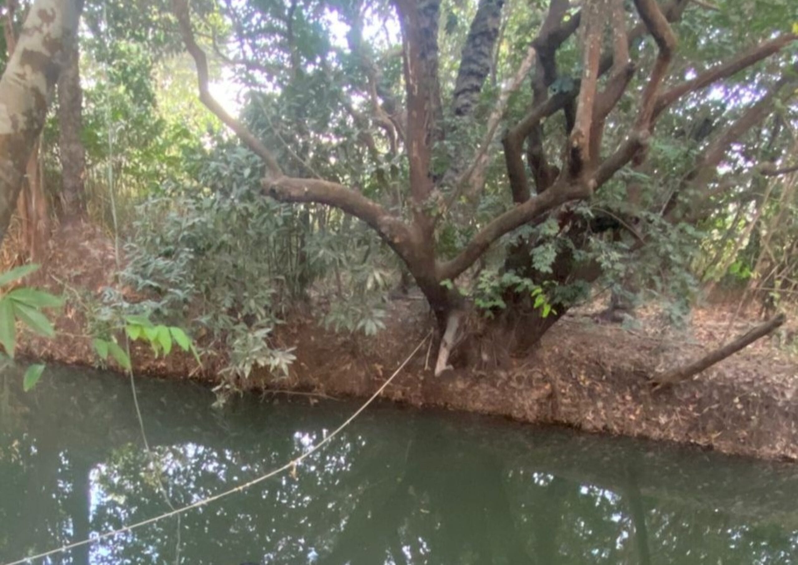 Tragédia na Zona Rural: Jovem de 22 Anos Encontra a Morte em Igarapé de Boa Vista