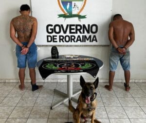 Dois Albergados São Detidos por Tráfico de Maconha em Boa Vista