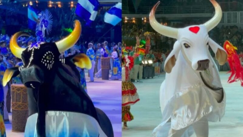 Início dos Ensaios dos Bumbás Caprichoso e Garantido em Manaus