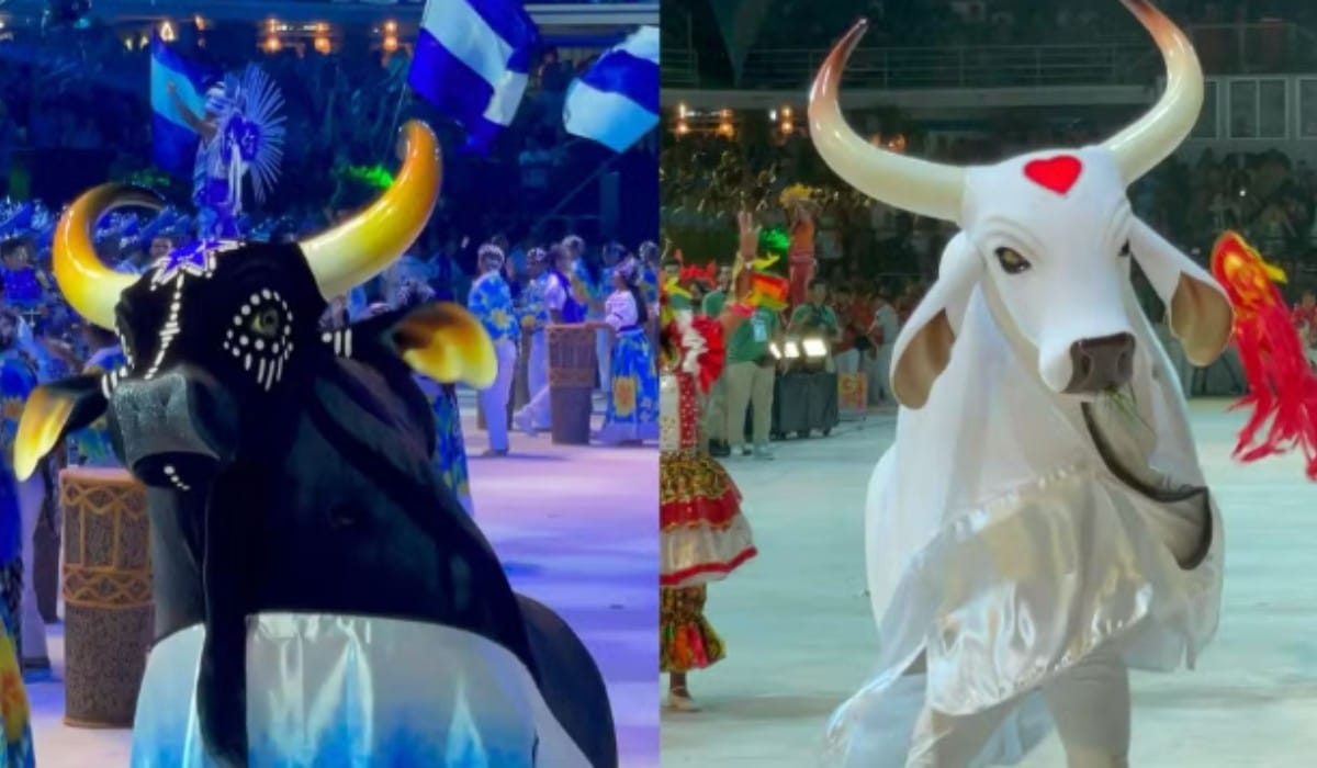 Arena Planeta Boi: Um Espetáculo Mágico na Arena da Amazônia